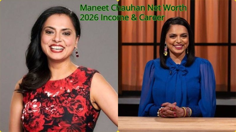 Maneet Chauhan Net Worth